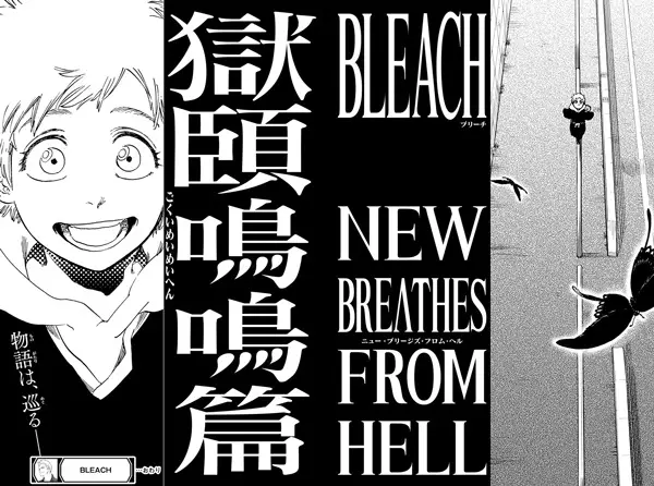 Bleach: Gokui Meimei-hen