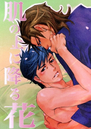 Cover for Hada no Ue no Renai Jijou