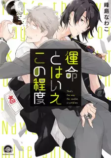 Unmei to wa Ie Kono Teido