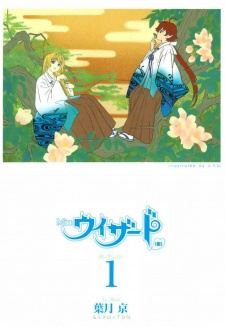 Imagen de Miss Wizard