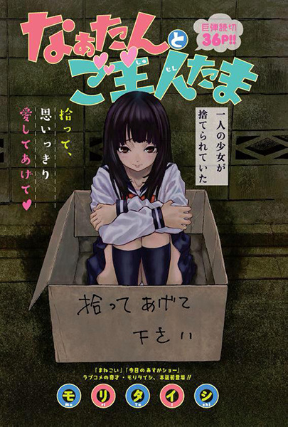 Cover for Naa-tan to Goshujin-tama