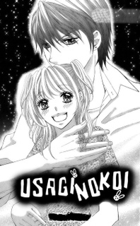 Poster de Usagi no Koi