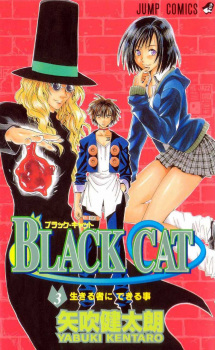 Imagen de Black Cat