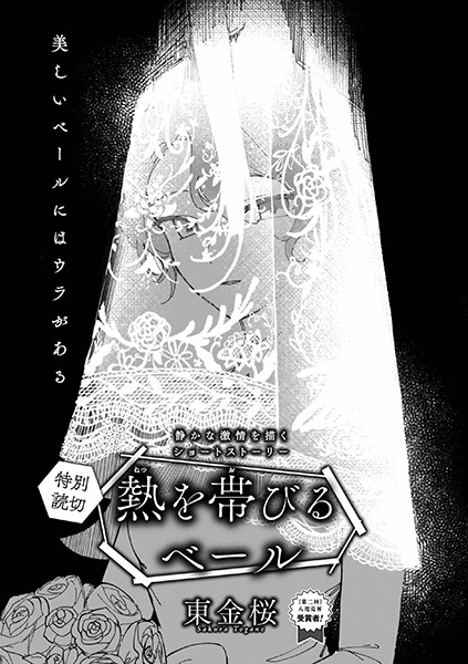 Netsu wo Obiru Veil