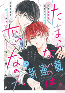 Tamaranai no wa Koi nano ka