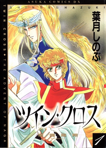 Poster de Twin Cross