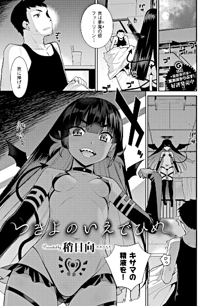 Tsukiyo no Iede Hime cover