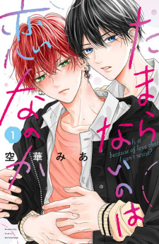 Capa de Tamaranai no wa Koi nano ka