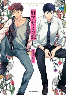Noazami no Koi