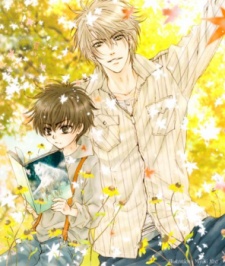 Imagen de Super Lovers