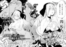 Seinaru Otome to Himegoto wo