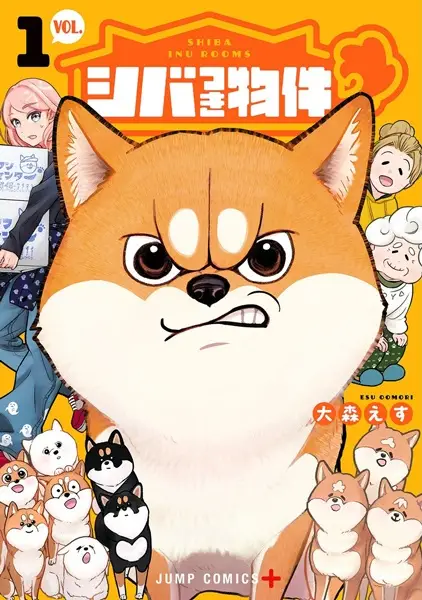 Shiba Inu Rooms