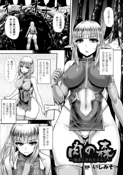 Niku no Mori: Naedoko ni Sareta Elf cover