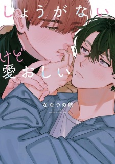 Shouganai kedo Itooshii