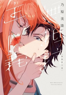 Muteikou Shugi