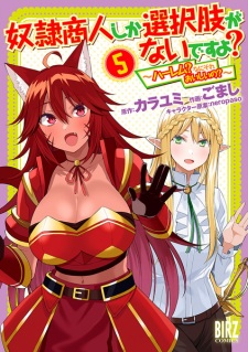 Imagen de Dorei Shounin shika Sentakushi ga Nai desu yo?: Harem? Nani Sore Oishii no?