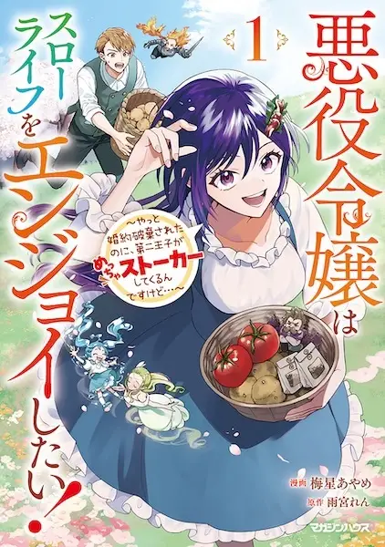 Akuyaku Reijou Slow Life wo Enjoy shitai! Yatto Konyaku Haki sareta noni, Dai-2 Ouji ga Meccha Stalker shite Kurun desu kedo...