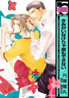 Kimi ga Inakerya Iki mo Dekinai