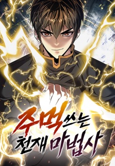 The Fistfighting Genius Mage