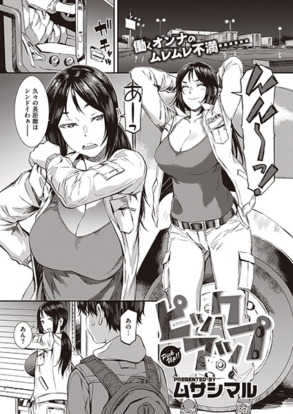 Pick Up cover