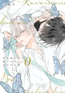 Kawaisou na Kimi wa Boku dake no Amayaka na Kizu 0