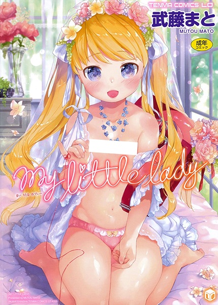 My Little Lady cover