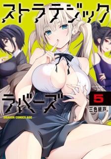 Imagen de Strategic Lovers