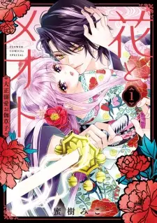 Hana to Meoto: Taishou Dekiai Otogizoushi