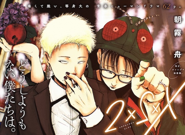 2×2×X cover