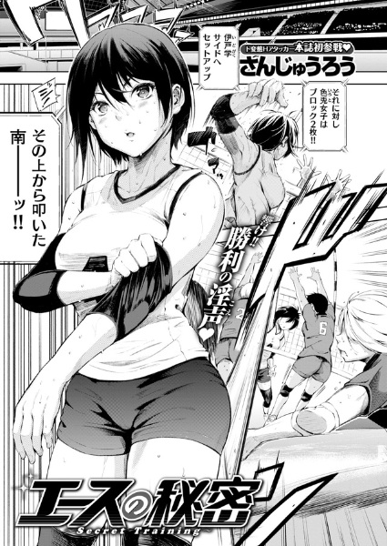 Ace's Secret cover