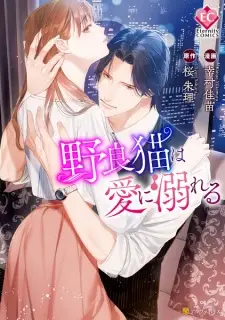 Noraneko wa Ai ni Oboreru