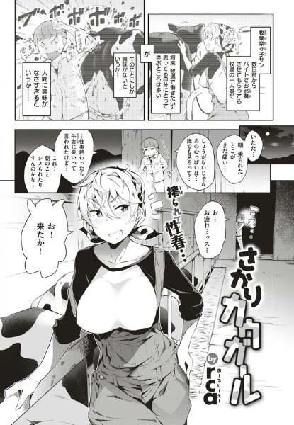 Cowgirl in Heat cover