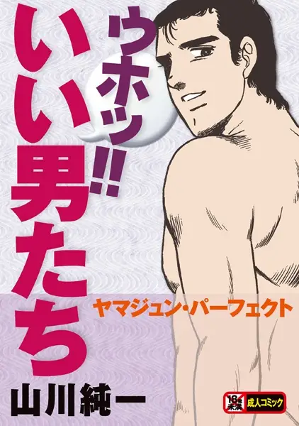 Uho!! Ii Otokotachi: Yamajun Perfect cover
