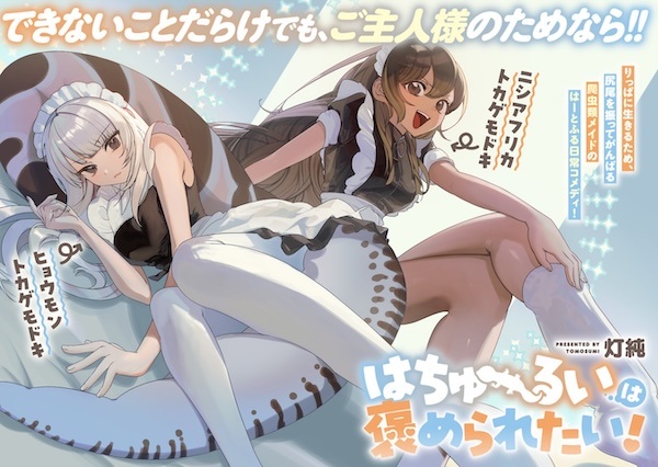 Poster de Hachuurui wa Homeraretai!