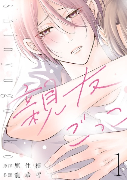 Poster de Shinyuu Gokko