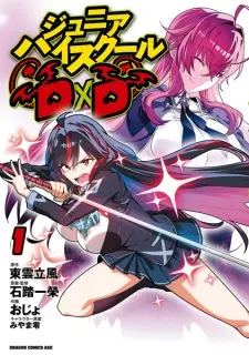 Junior High School DxD