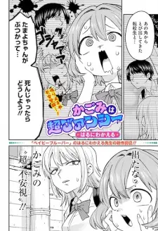 Kagomi wa Chou Fancy