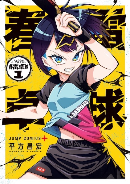 Shunrai Table Tennis cover