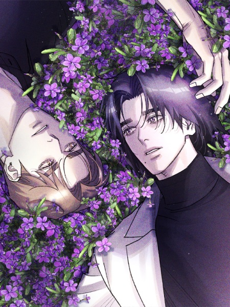 When the Violets Bloom cover