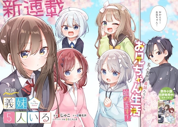 My Five Step Sisters cover