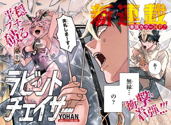 Rabbit Chaser cover