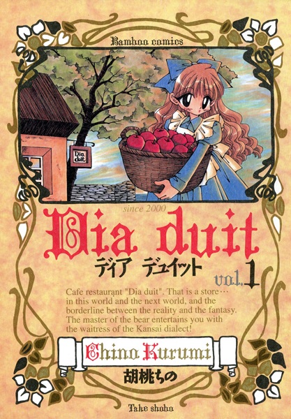 Dia Duit cover