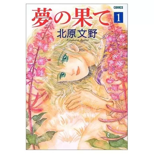 Cover of The end of the dream
