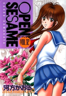 Imagen de Open Sesame