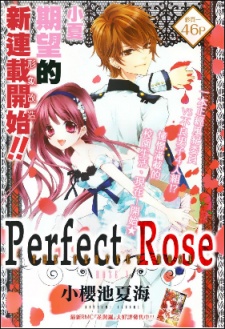 Imagen de Perfect Rose