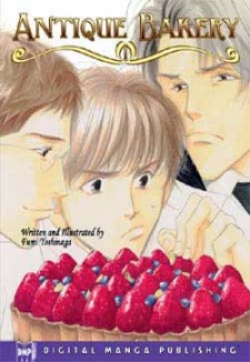 Imagen de Seiyou Kottou Yougashiten