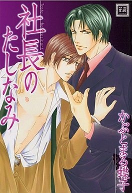 Poster de Shachou no Tashinami