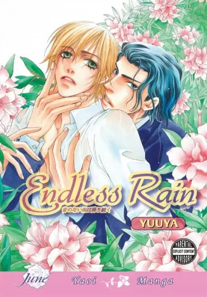 Endless Rain