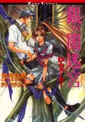 Cover of 銀の闇迷宮 D・ウォーカー