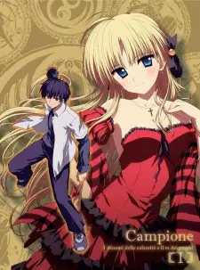 Cover image for Campione! Blu-Ray Special Stories